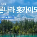 우리투어주 - 용인시 수지구 수지로 113 | 우리투어주