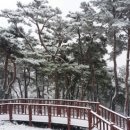 봉수산 자연휴양림 이미지