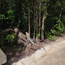 외국어대입구버스정류장_R | 멕시코 칸쿤 스칼렛아르떼 액티비티 셀하 후기