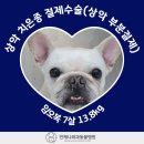 언제나동물병원 이미지