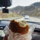 (주)세일피드 이미지