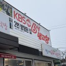 [청도맛집] 청도 미나리삼겹살 무조건 여기 ‘한재참미나리식육식당’ 솔직후기 강추