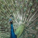 강호합기도 이미지