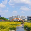 남천둔치1 이미지