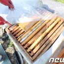 기형농장 이미지