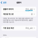 가족해외여행 갈 때 데이터로밍 이미지