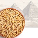 만능효소 | 골드카무트효소 효능 역가수치 솔직후기