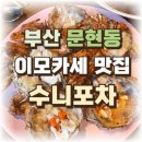 부산 문현동 이모카세 맛집 수니포차 내돈내산 후기!