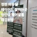 아만나헤어살롱 정관점 태검 | 정관 레이어드컷 맛집 아만다헤어살롱