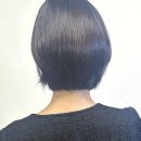 반려동물도 환영하는 가산미용실 스위트벙커 방문 후기!