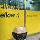 김선생펫푸드 이미지