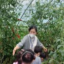 미래숲어린이집 이미지