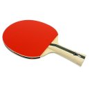 탁구(중급) 이미지