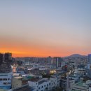 덕판배미술관 | 올레 7코스 걸어보기(가장 아름다운 코스)+서귀포매일올레시장 흑돼지고로케 치즈 오리지널 솔직 후기