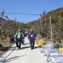 삼애농원 이미지