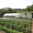 양동농장 이미지