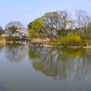 연지못 이미지