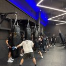 커키버팔로 복싱 클럽 | 금천구복싱으로 유명한 커키버팔로복싱클럽에서 즐겁게 배워보기