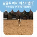 172 | 남양주 마석 아이랑 가볼만한 곳 🐴말도 보고 체험도 가능한 ‘비스타밸리’