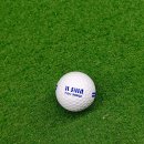 일신골프연습장 이미지