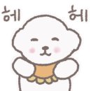 댕화살롱 이미지