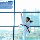 액션 멀티짐 태권도장 이미지