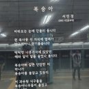 120 - 복 숭 아 / 서민경 이미지