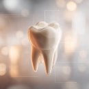 알기쉬운 건강보험 임플란트 | 임플란트후기 비용 대비 만족도를 좌우하는 5가지 변수 정리