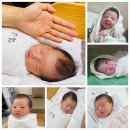 아크다몰이용후기