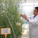 드림개발 이미지