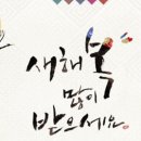 에코스디테일 이미지