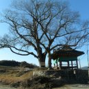 곡성-125 이미지