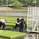 한국동포 외국인 행정사사무소 이미지