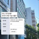 지현개발 | 6월 ㅣ어차피 엊그제 티빙도 털렸겠다 6월 일상 원하시면 보내드리겠습니다