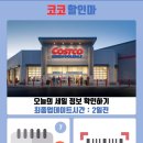 코코줌마 이미지
