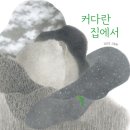커다란