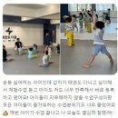 태권도 다움 이미지