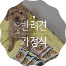 와즈펫(wispet) | 와즈펫 반겨련가정식 종류별로 먹여봤어요