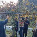 샘말농장 이미지