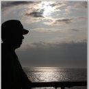 평화로(1) 이미지