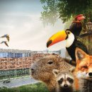 유니온로 이미지