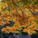 시립서부노인전문요양센터 | 서울 요양원 시립서부노인전문요양센터 운영정보