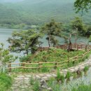 맑은아침 이미지