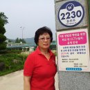 길안초등학교 Daum카페