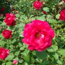 해맑은요양병원 이미지