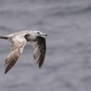 전영택「화수분」 이미지