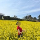 동백여행사 부안 당일치기 여행 후기 (수성당 유채꽃, 채석강, 내소사)