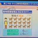 NHK -G 지상파종합TV 103채널에 계속나옵니다 이미지