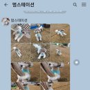시루멍