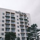 파인트리리조트 이미지